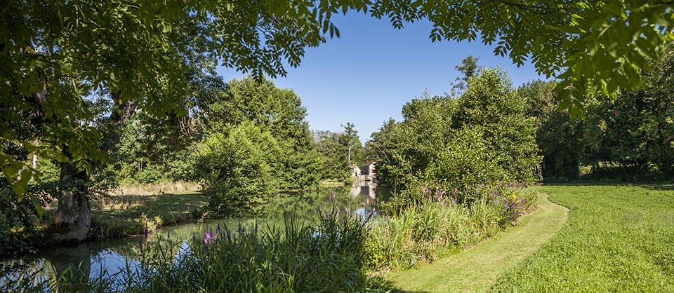 Along the mill stream