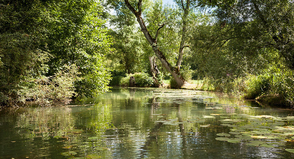 the river by boat