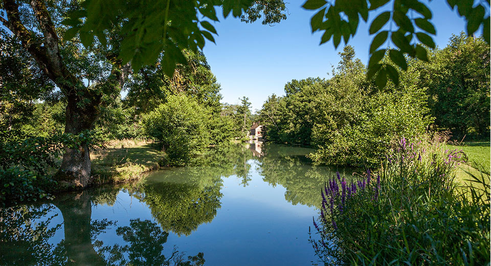 The mill at the end of the mill stream