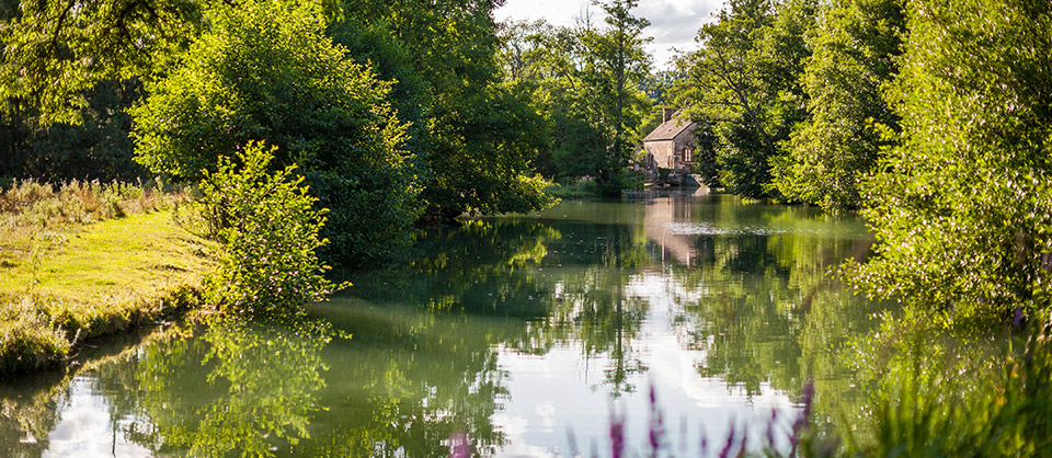 The mill stream  