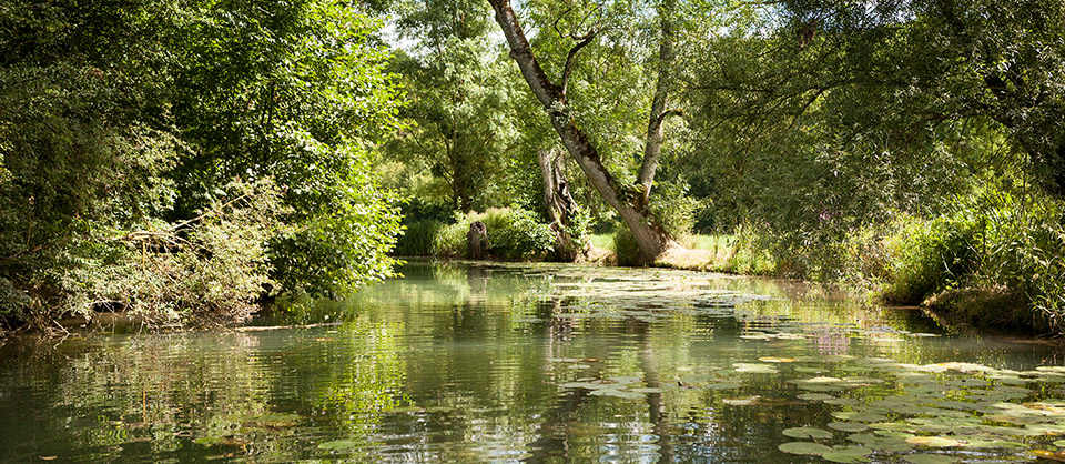Along the river