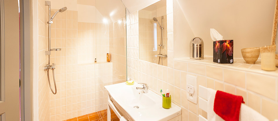 In the bathroom, a walk-in shower