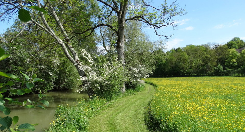 A wealth of flora
